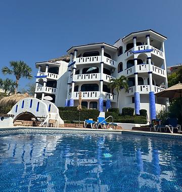 Vue piscine v1.jpg