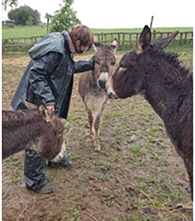 Feuille de Chou n°145 (paniers des 12 et 15 mai 2020)