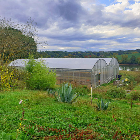 Feuille de Chou n°160 (paniers des 27 et 30 oct. 2020)
