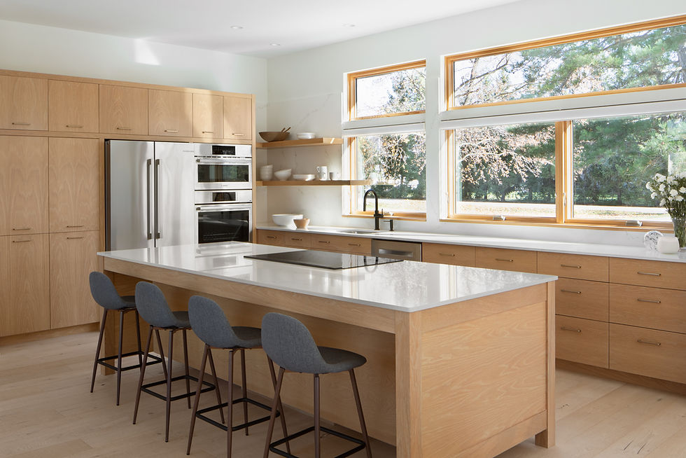 Ultramoderne Cabinetry: Kitchen