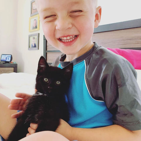 Small child with kitten on their lap.