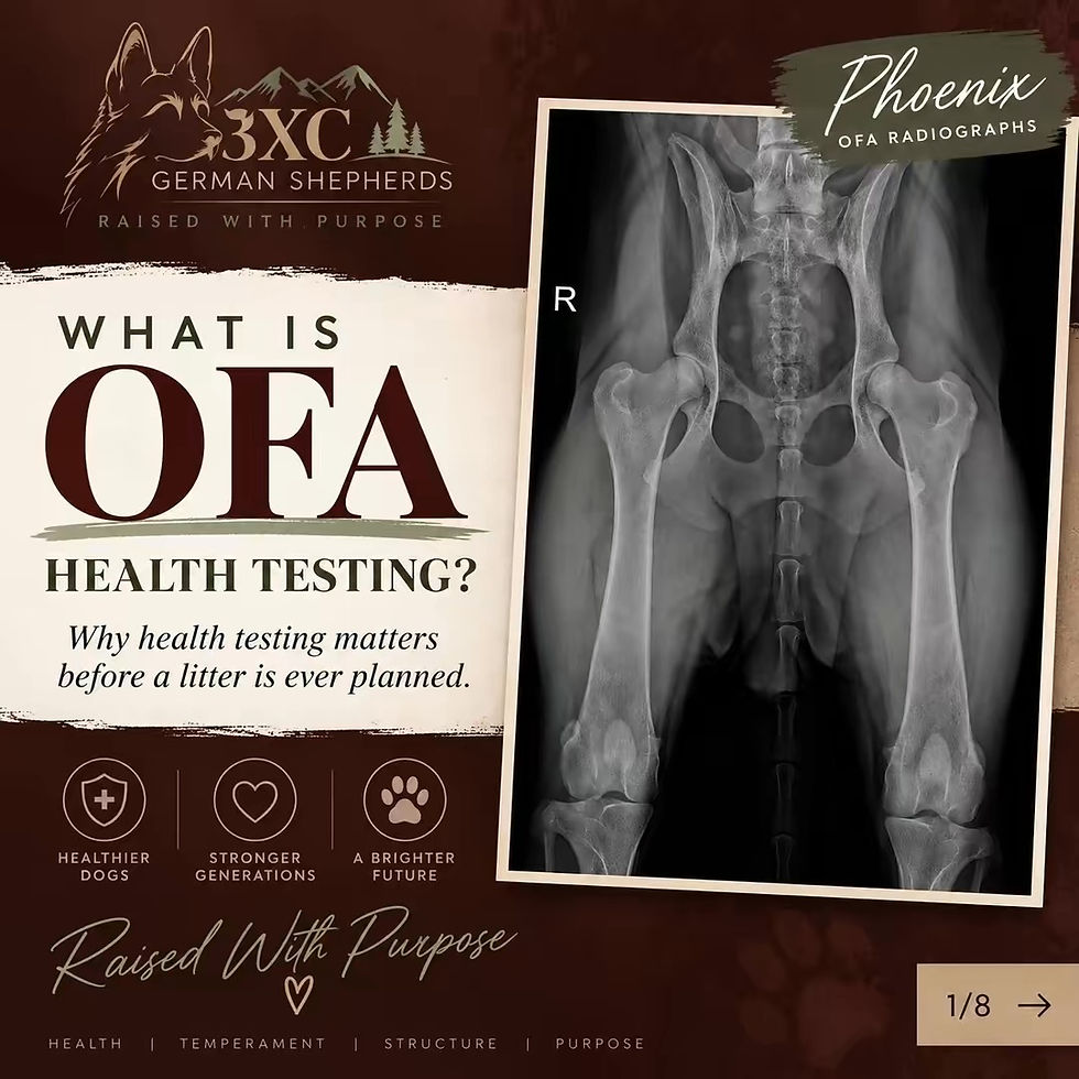OFA explained