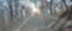 42FF51AF-4F32-4F88-9723-07E0DBD01632_edited.jpg
