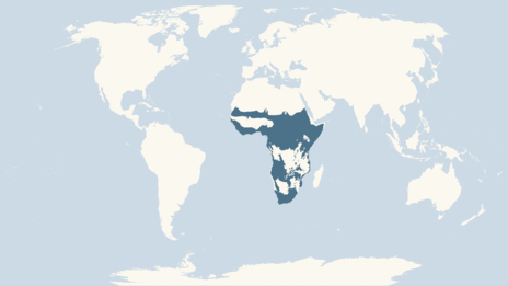 african_fish_eagle_map.gif
