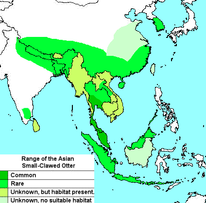 Asian small-clawed otter range.gif