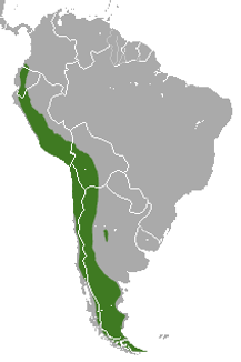 Culpeo_area.png