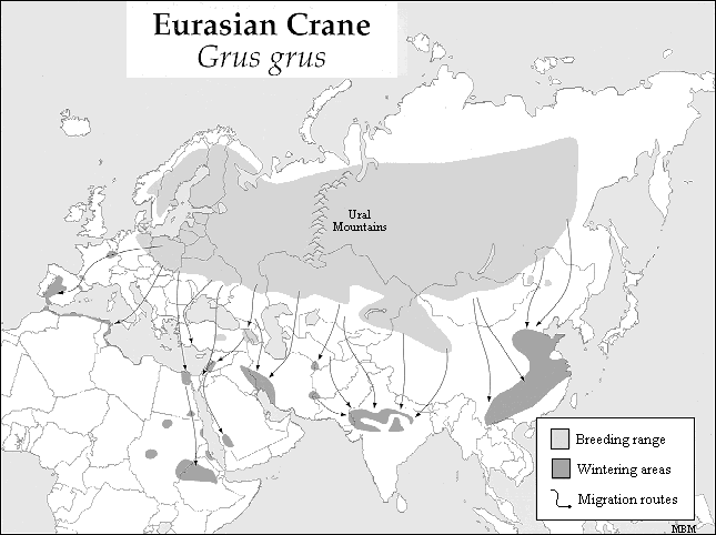 Common Crane Range.gif