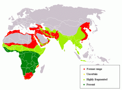 leopard habitat.gif
