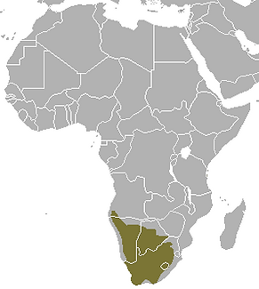 Cape_Fox_area.png