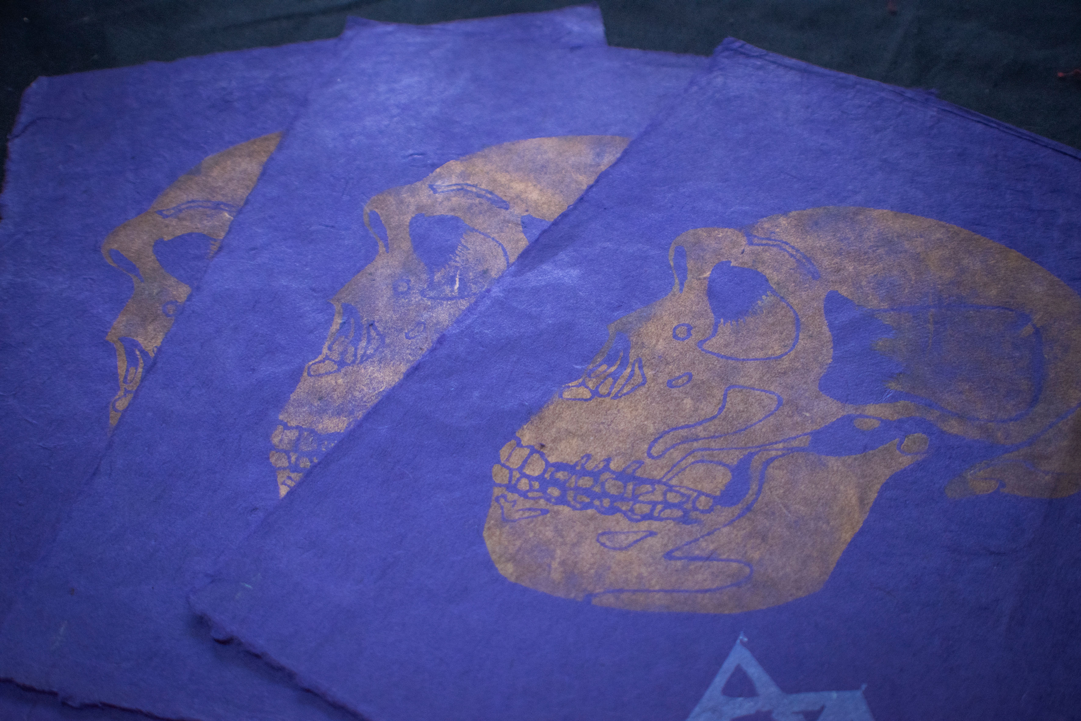 MIMIR: Neanderthal (gold + purple) print