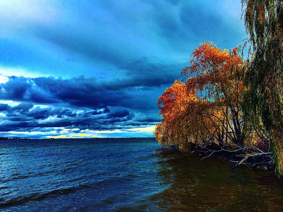 sibbald point.jpg