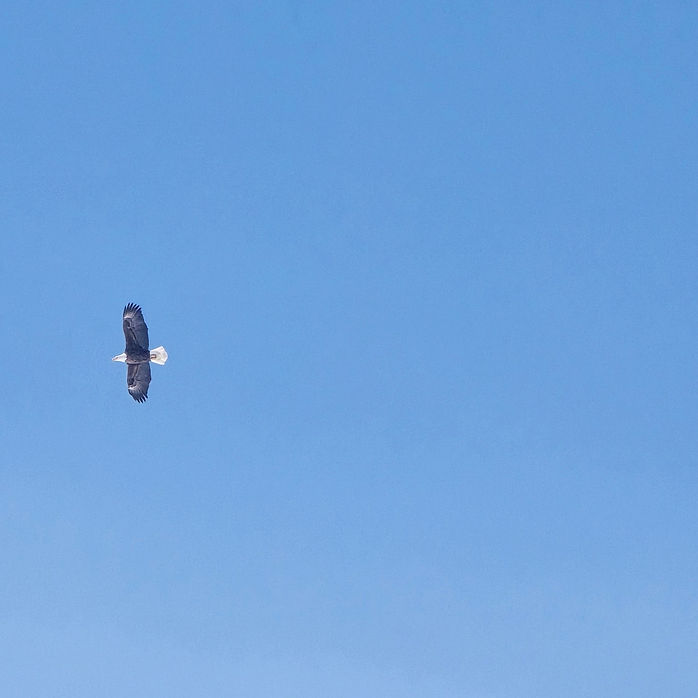 20260418_142257.jpg