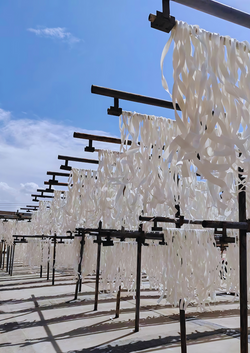 Handmade Potato Noodle