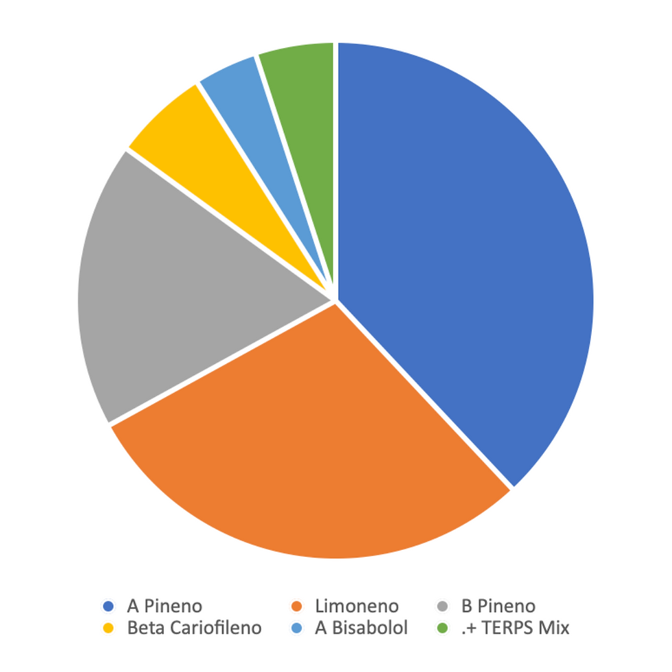 Miniatura: WILD APPLE