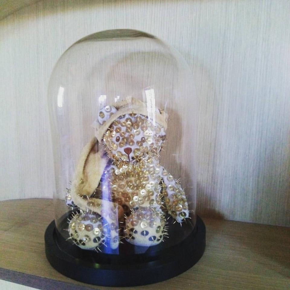 18835698_10212872135295650_4856015721043356559_n