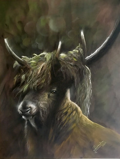 image11.jpeg