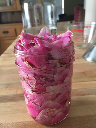 Preparing the Rose Elixir.jpeg