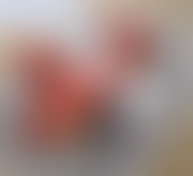 Carers Modelling Course!