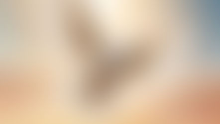 Seeking Divine Revelation