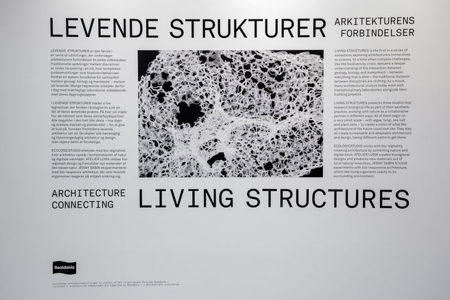 02_CS_6429-Edit_DONE