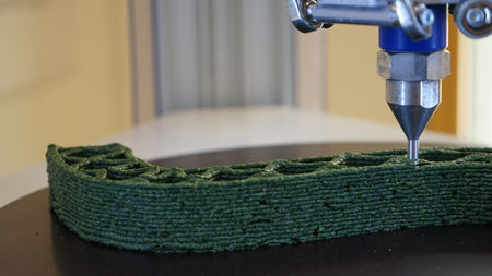 Seaweed, the lagoon and the city