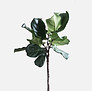 Planta verde