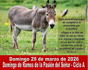 Dgo de Ramos_edited.png