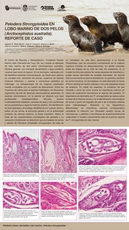 Autoras/es: Agustín D. Pérez Bravo1, Juan P. Loureiro2, Marcos J. Butti3, Julio D. Loureiro2, Nilda E. Radman3, María A. Quiroga1