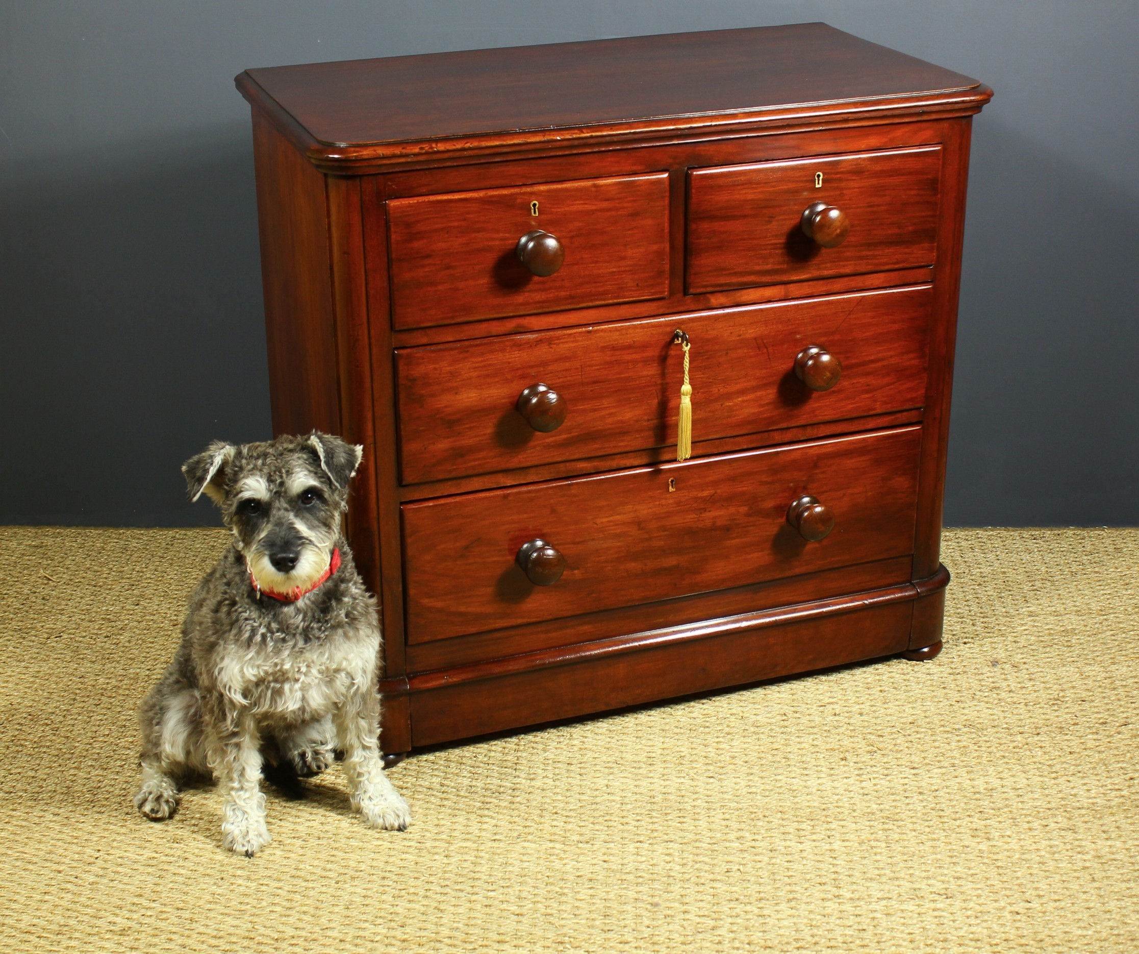 Victorian Compact Mahogany Chest of Drawers