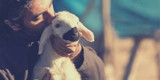The Good Shepherd