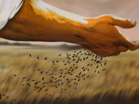 Fertile Soil