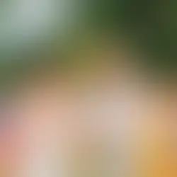 Ferme de Balingue, mariage coloré et spontané. Reportage Sixtine Riche photographe Lille.