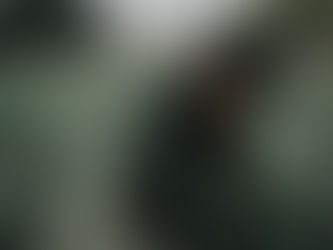 Post Acute Withdrawal Syndrome (PAWS) - The Case For An Integrative and Naturopathic Approach