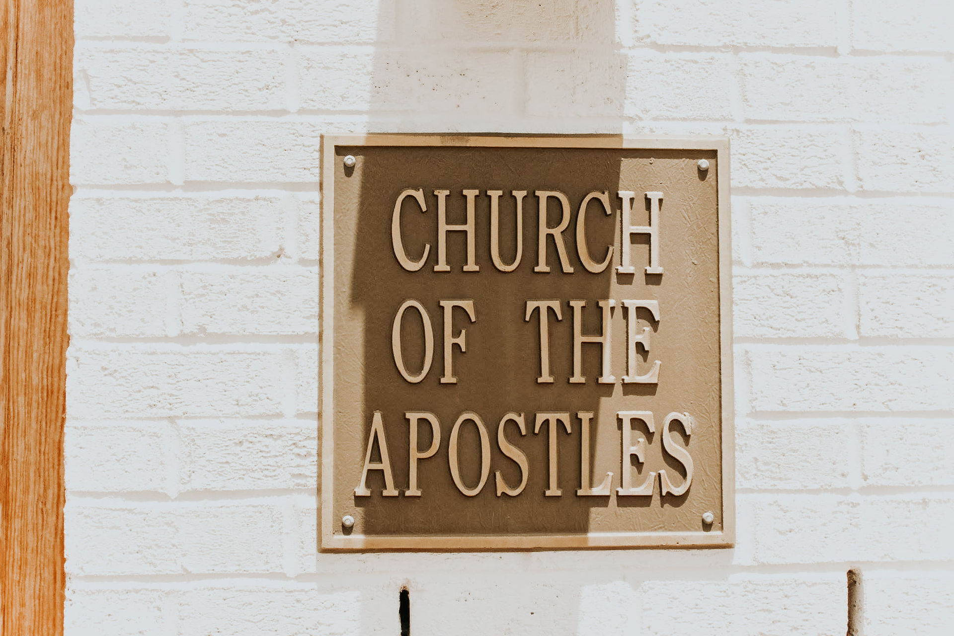 36481194_10204839849113188_3069276027353038848_n