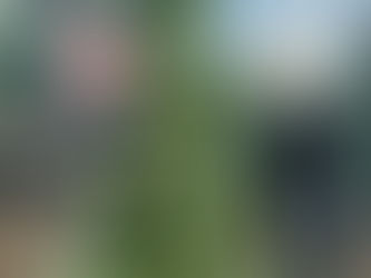 "I want to travel together" — a bond that motivates one another <Inside the Two of Them>