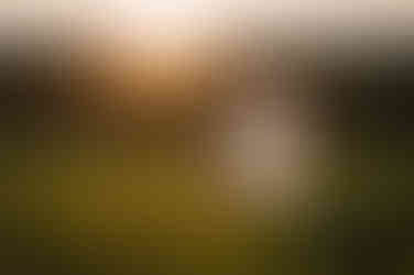 summer engagement photos, Manda Jean Photography, engagement pictures