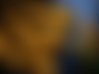 Pomme de terre façon Hasselback