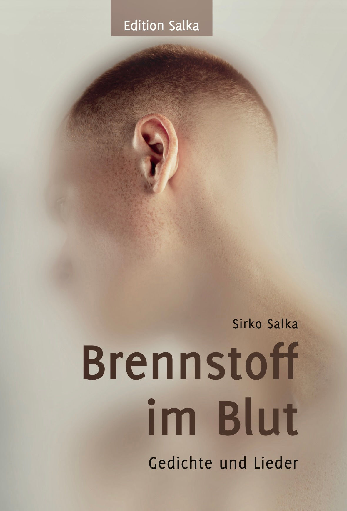 Brennstoff im Blut. Gedichte und Lieder