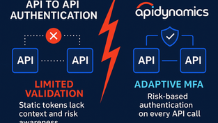 Why I Started APIDynamics: Securing the New Frontier of Machine-to-Machine Trust