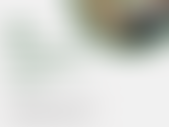 De boog heeft wel 7 weken lang voor een feestelijke sfeer gezorgd