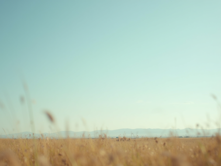 Building Trust Through Transparent Communication Strategies
