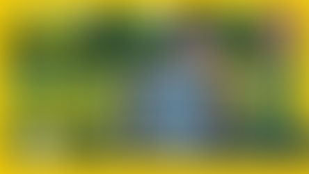 Billa Vereinslose Sammelaktion