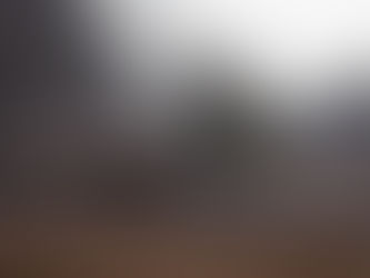 Why do you spend so much time in the jungles and why do you need so much of equipment?