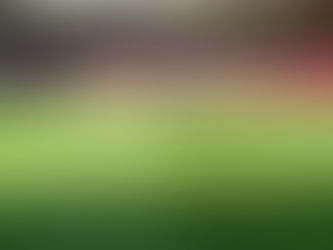 World Cup Qatar 2022