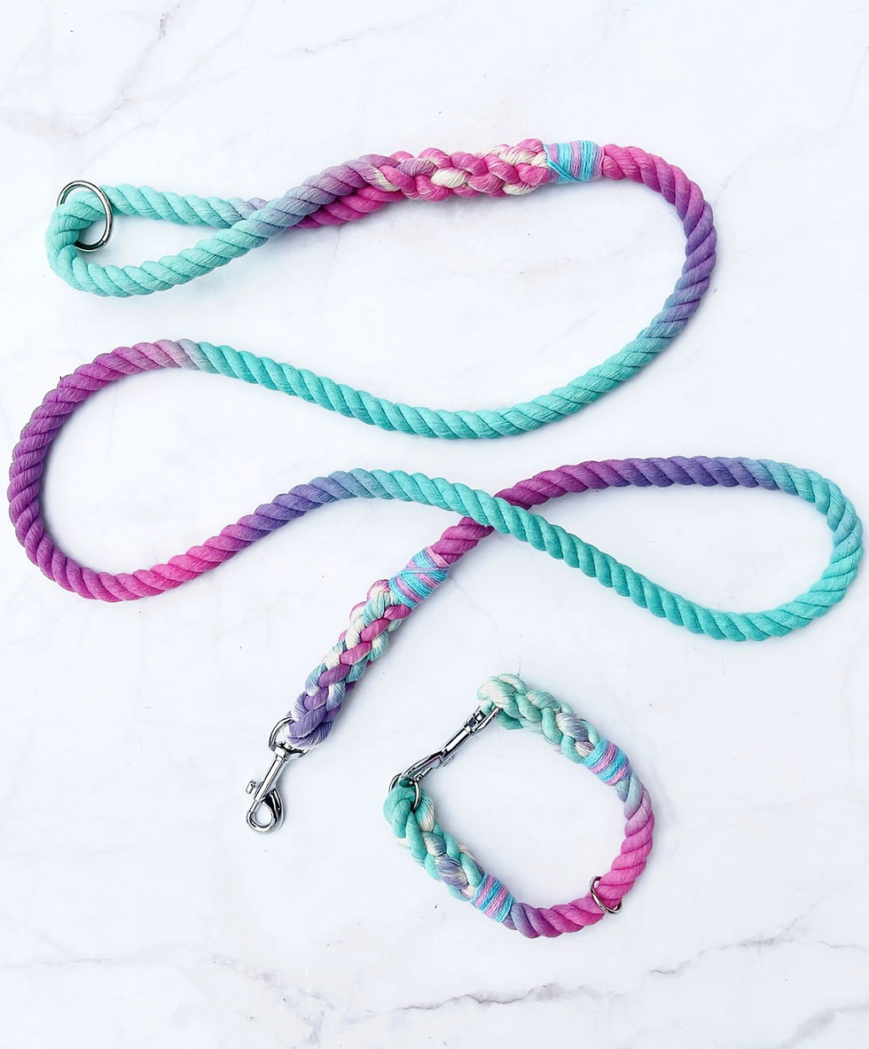 Thumbnail: Bubblegum Dream Rope Lead