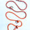 Thumbnail: Multi Purpose Training Lead