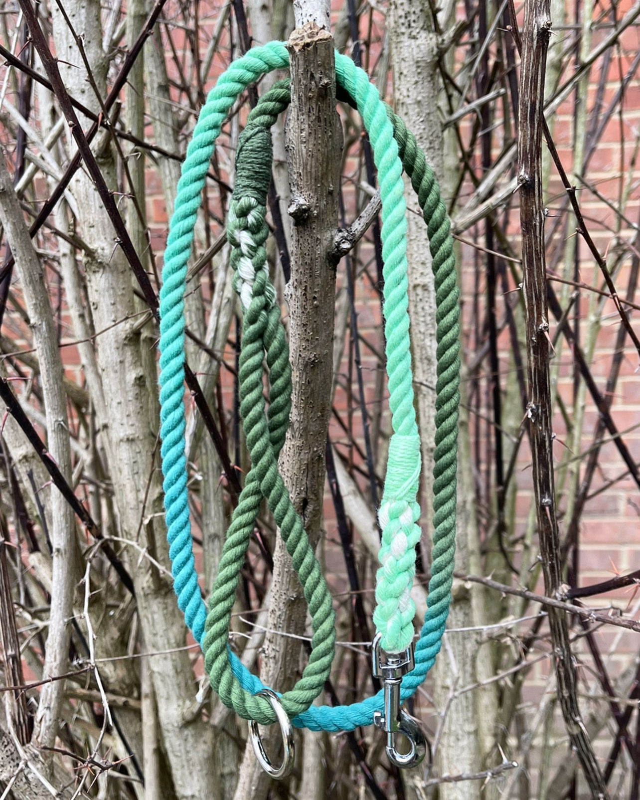 Green Ombre Rope Lead