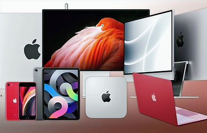 45990-91021-wte-apple-2020-xl_edited.jpg