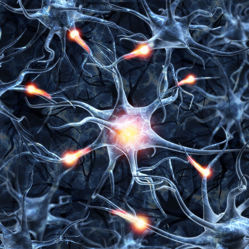 neuroplasticity