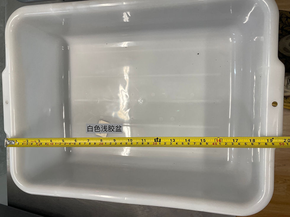 縮圖：浅胶盆50x38x13cm